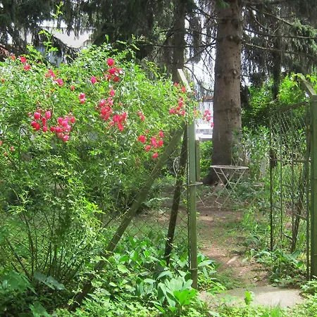 Apartamento Altstadthaus Cityappartements