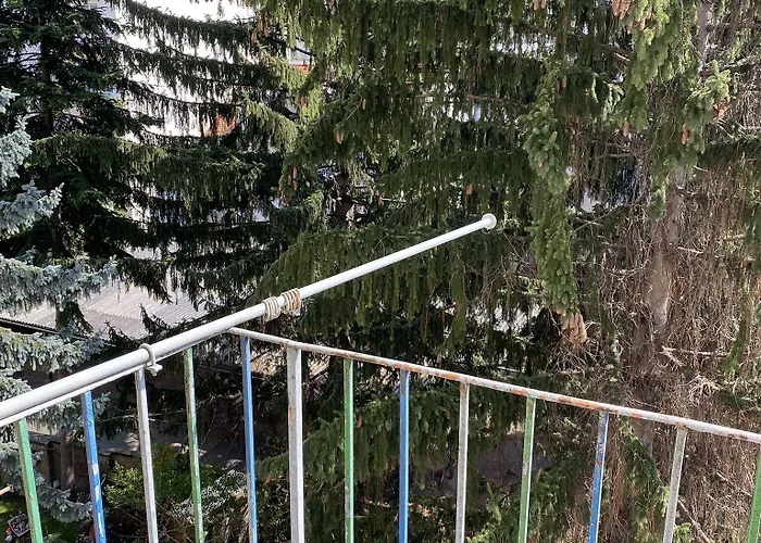 Appartamento Altstadthaus Cityappartements *