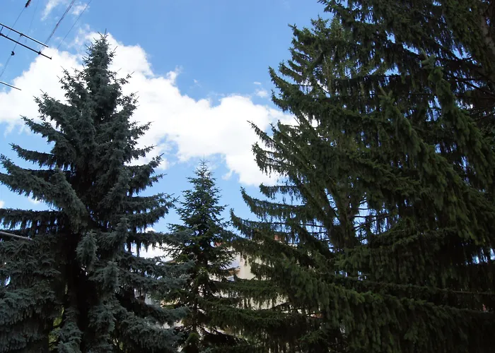 Apartamento Altstadthaus Cityappartements *